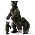 Video Anima - Peluche grizzly dresse 70 cm -3606