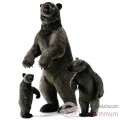Video Anima - Peluche grizzly dresse 150 cm -3626
