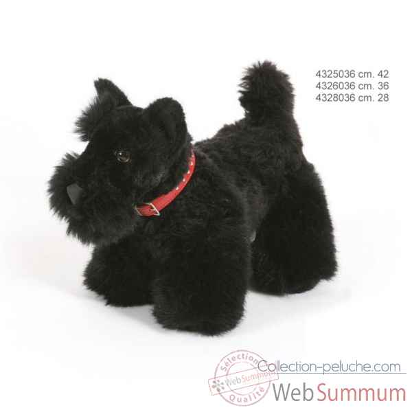 Scottish terrier 28 cm Ramat -4328036
