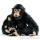Anima - Peluche chimpanz bb 25 cm -2306