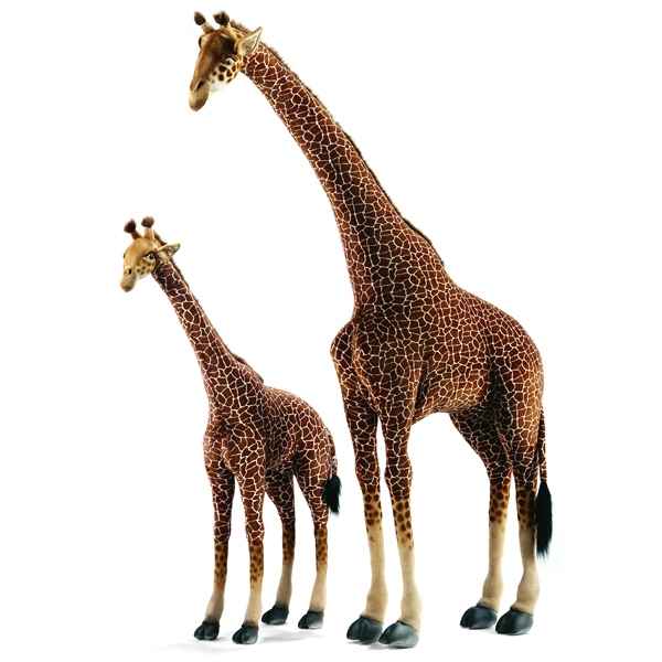 Anima - Peluche girafe 340 cm -4312