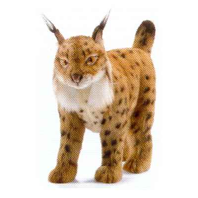 Peluche Lynx brun - Animaux 4858