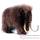 Anima - Peluche mammouth 30 cm -4660