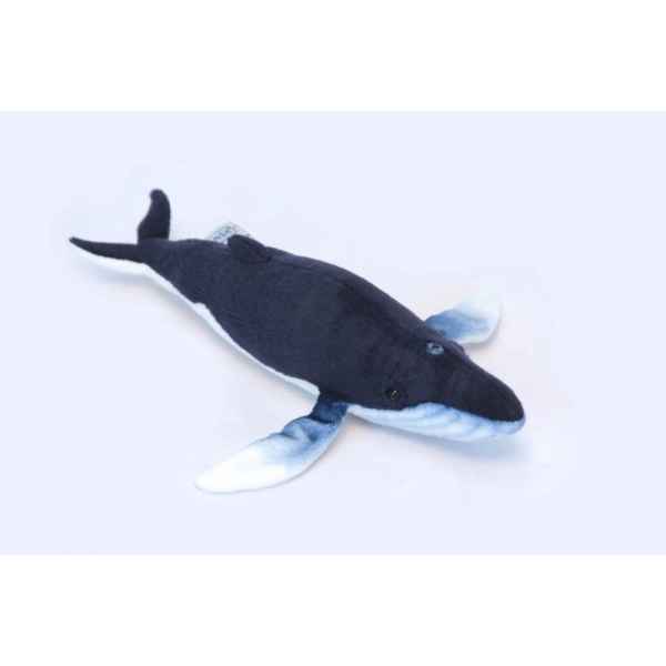 Baleine bleue Anima -6285