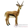 Video Anima - Peluche gazelle bebe 60 cm -4778