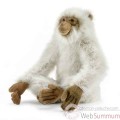 Video Peluche Singe Gibbon d'Asie - Animaux 3226