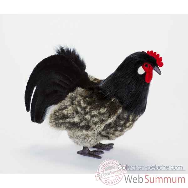 Poule noire 34cml Anima -6037