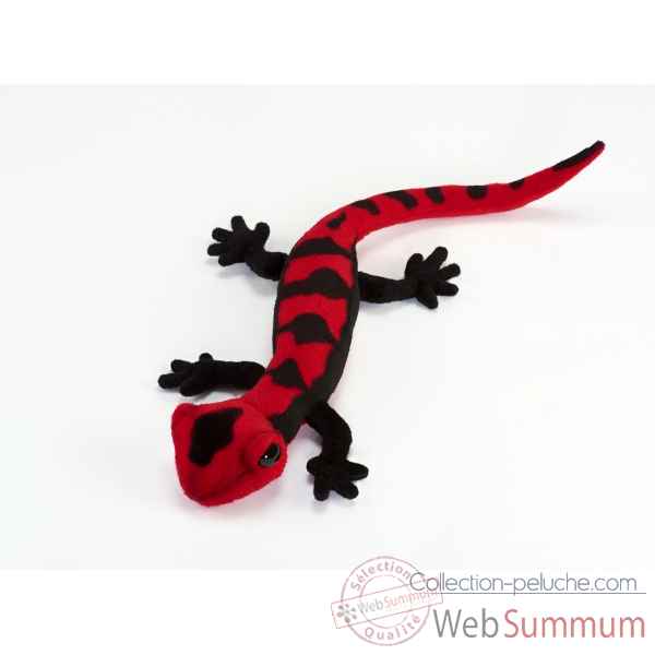 Salamander rouge/noire 35cml Anima -5230