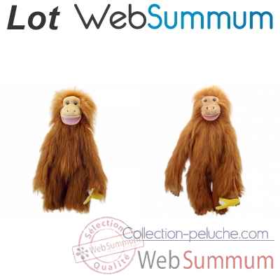 Lot grands singes orang-outan -LWS-345
