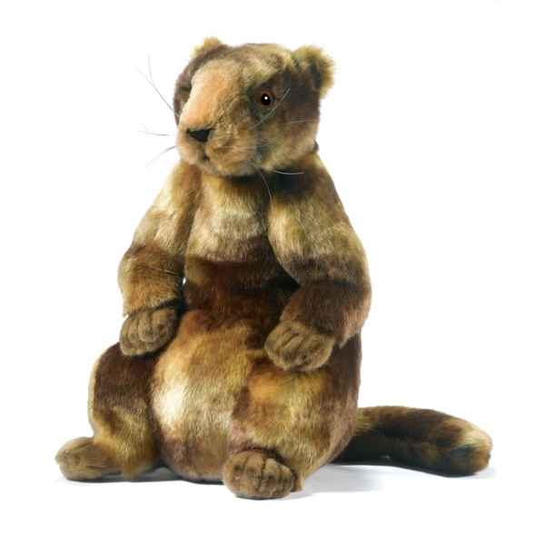 Peluche Marmotte Anima de Anima dans Animaux de la Montagne sur Collection  peluche