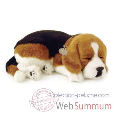 Beagle Perfect Petzzz -65401