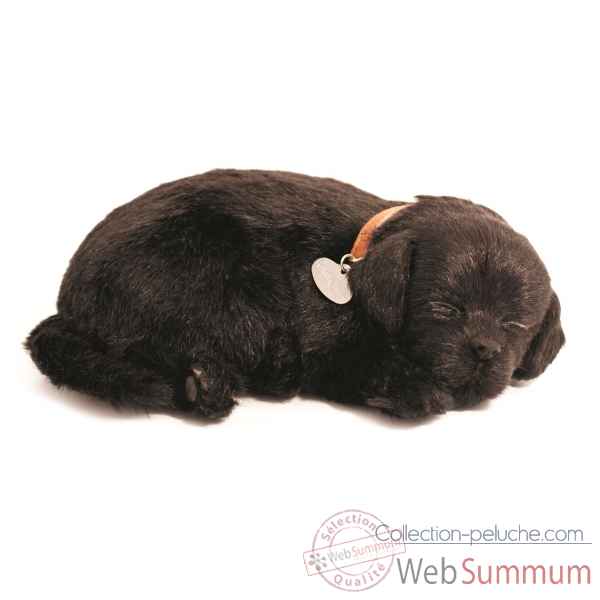 Labrador noir Perfect Petzzz -65410