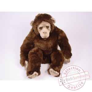 Peluche assise chimpanzee 60 cm Piutre -2571