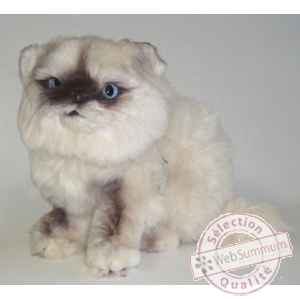 Peluche assise chat persan Colourpoint ou Himalayan 25 cm Piutre -2433