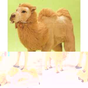 Peluche debout chameau 195 cm Piutre -2556